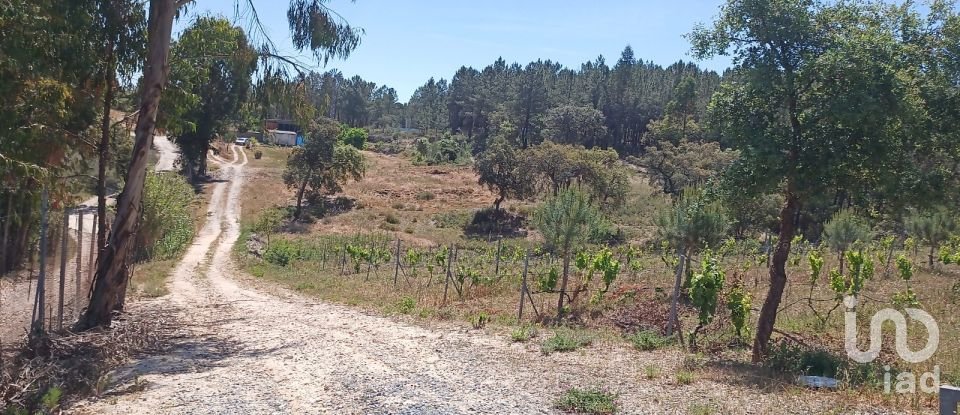 Land in Ponte de Sor, Tramaga e Vale de Açor of 18,000 m²
