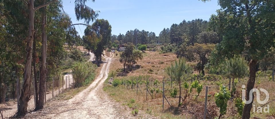 Land in Ponte de Sor, Tramaga e Vale de Açor of 18,000 m²