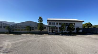 Murs commerciaux à Assafarge e Antanhol de 4 400 m²