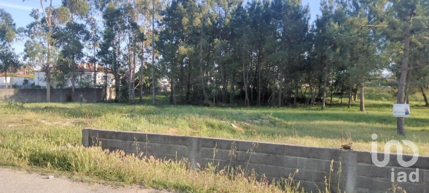 Land in Porto de Mós - São João Baptista e São Pedro of 6,360 m²