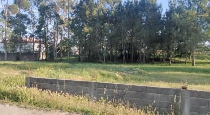 Terrain à Porto de Mós - São João Baptista e São Pedro de 6 360 m²