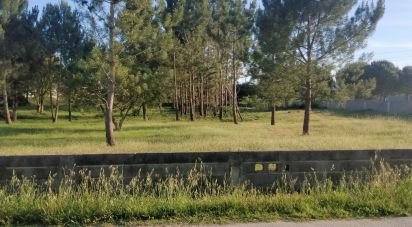 Terrain à Porto de Mós - São João Baptista e São Pedro de 6 360 m²