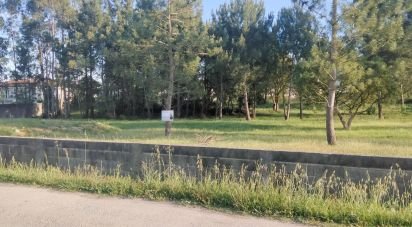 Terrain à Porto de Mós - São João Baptista e São Pedro de 6 360 m²