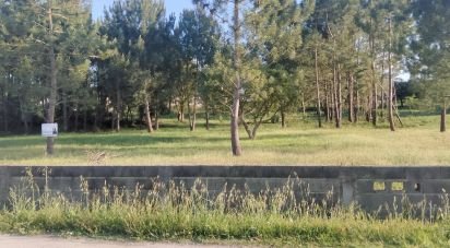 Terrain à Porto de Mós - São João Baptista e São Pedro de 6 360 m²