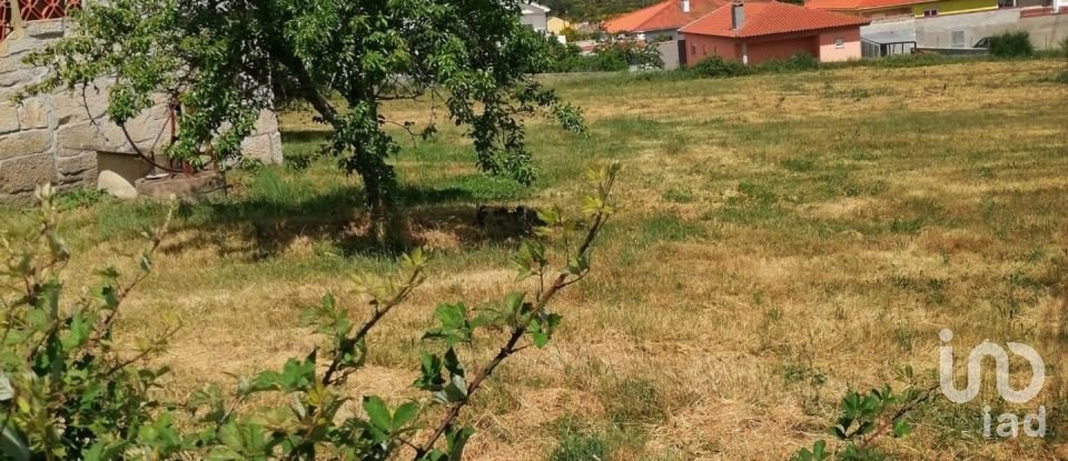 Building plot in Vale de Anta of 2,620 m²