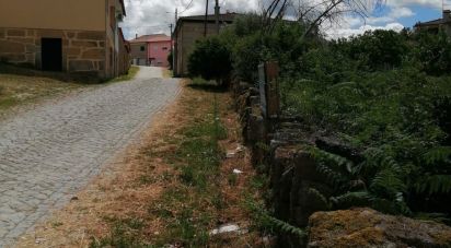 Terrain à bâtir à Vale de Anta de 2 620 m²