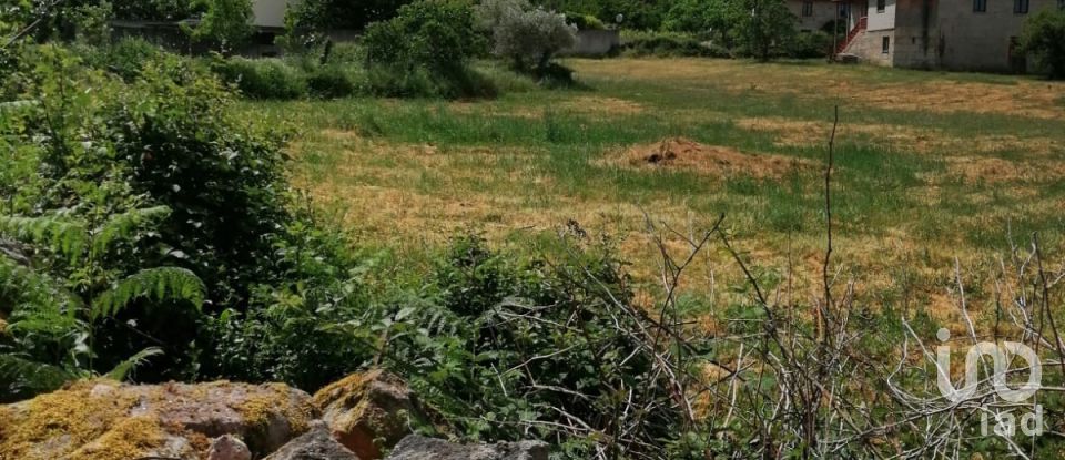 Building plot in Vale de Anta of 2,620 m²