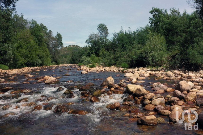 Maison T0 à Serpins de 63 m²