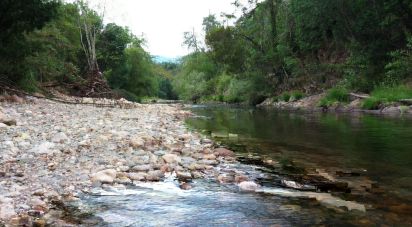 Maison T0 à Serpins de 63 m²