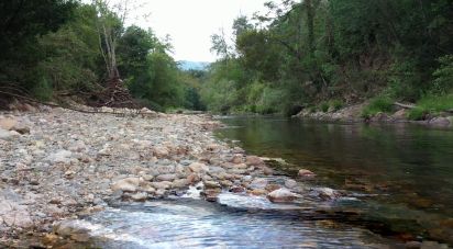 Maison T0 à Serpins de 63 m²