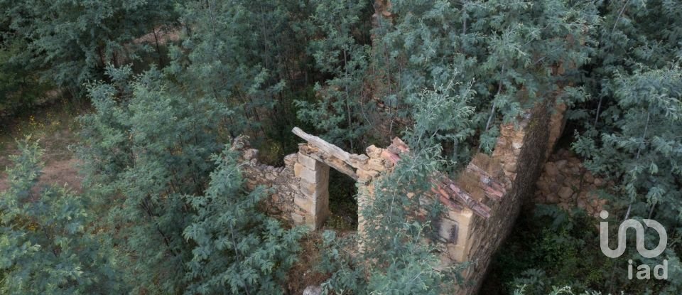 Maison T0 à Serpins de 63 m²