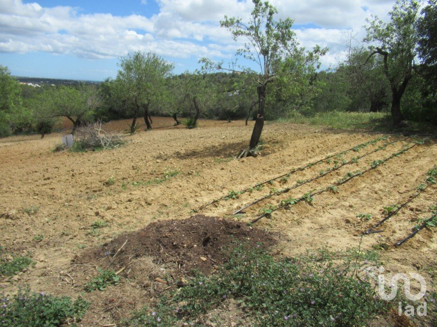 Agricultural land in Boliqueime of 2,200 m²
