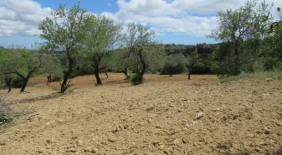 Terrain agricole à Boliqueime de 2 200 m²