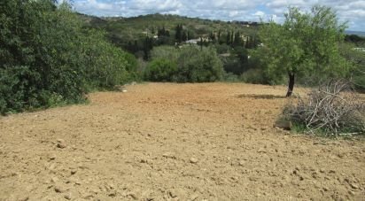 Terrain agricole à Boliqueime de 2 200 m²