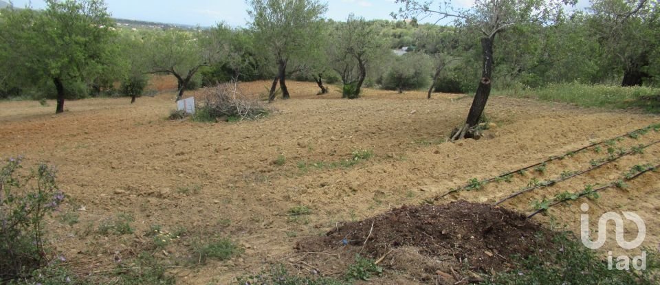Agricultural land in Boliqueime of 2,200 m²