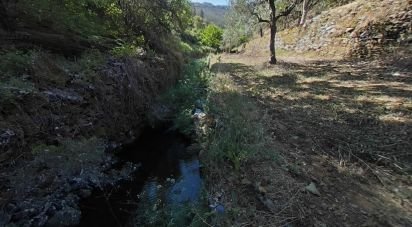 Terrain à Álvaro de 9 978 m²