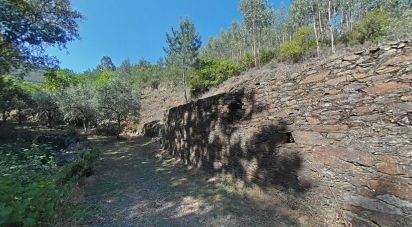 Terrain à Álvaro de 9 978 m²