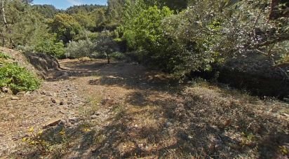 Terrain à Álvaro de 9 978 m²