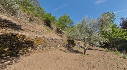 Terrain à Álvaro de 9 978 m²