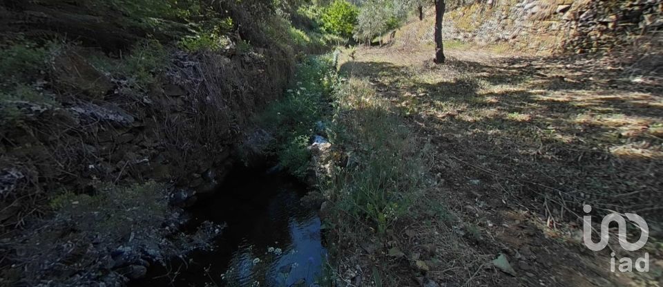 Terreno em Álvaro de 9 978 m²