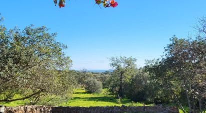 Country home T3 in Tavira (Santa Maria e Santiago) of 180 m²