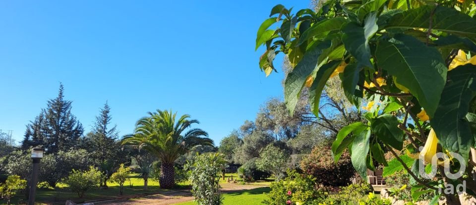 Country home T3 in Tavira (Santa Maria e Santiago) of 180 m²