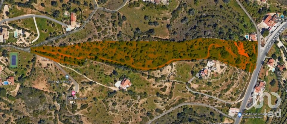 Traditional house T4 in Lagoa e Carvoeiro of 200 m²