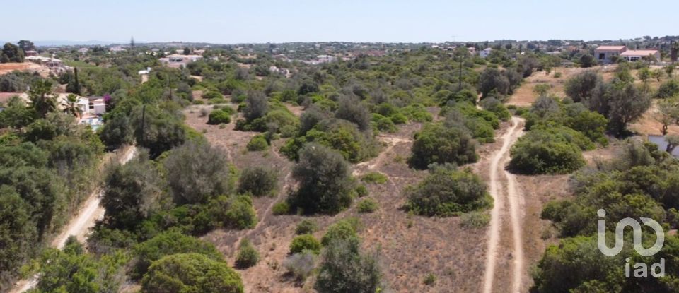 Traditional house T4 in Lagoa e Carvoeiro of 200 m²