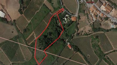 Land in Turcifal of 6,866 m²