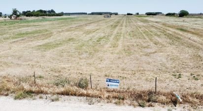 Farm T2 in Almeirim of 100 m²