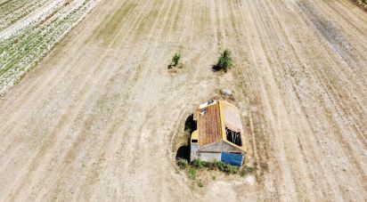 Farm T2 in Almeirim of 100 m²