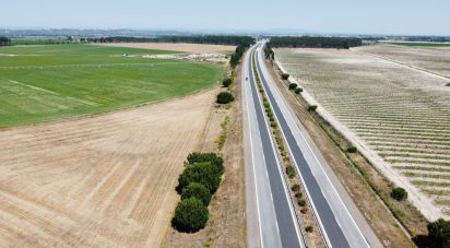 Farm T2 in Almeirim of 100 m²