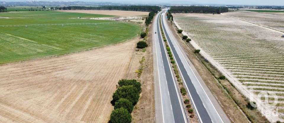 Ferme T2 à Almeirim de 100 m²