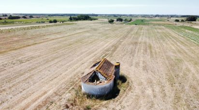 Farm T2 in Almeirim of 100 m²