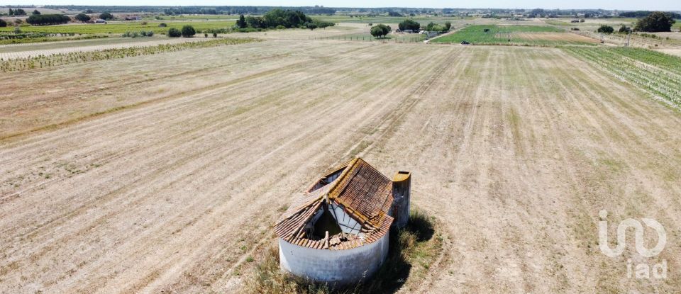 Ferme T2 à Almeirim de 100 m²