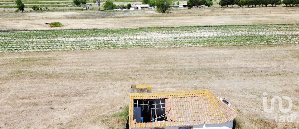 Ferme T2 à Almeirim de 100 m²