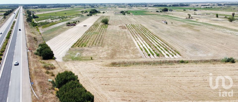Ferme T2 à Almeirim de 100 m²