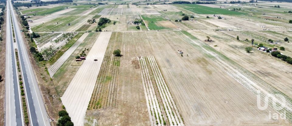 Ferme T2 à Almeirim de 100 m²
