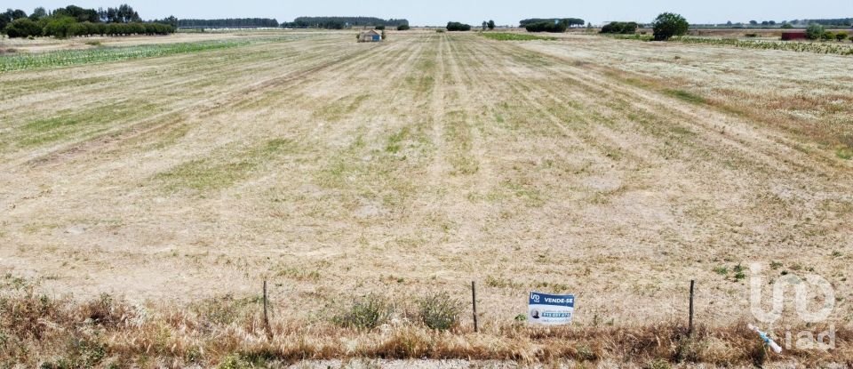 Ferme T2 à Almeirim de 100 m²