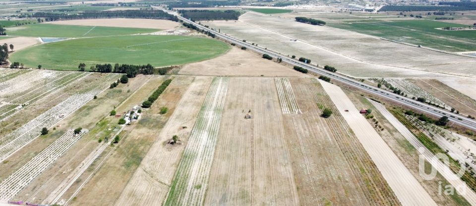 Ferme T2 à Almeirim de 100 m²