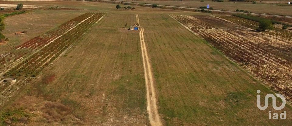 Ferme T2 à Almeirim de 100 m²