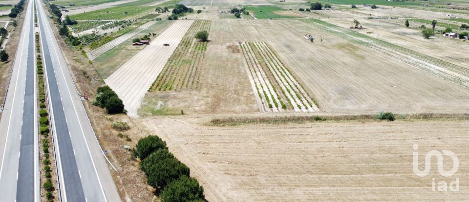 Ferme T2 à Almeirim de 100 m²