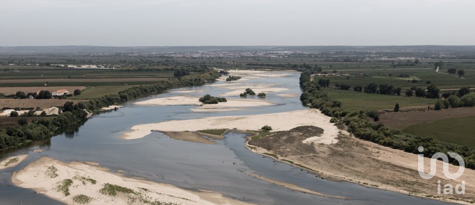 Ferme T2 à Almeirim de 100 m²
