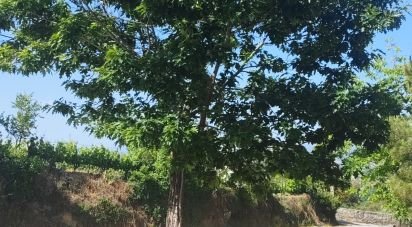 Terrain à bâtir à Madalena e Samaiões de 514 m²