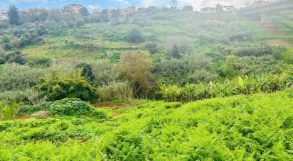 Terrain à Santo António de 1 778 m²