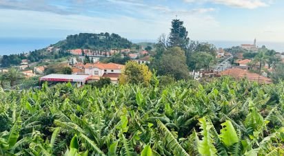 Terrain à Santo António de 1 778 m²