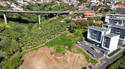 Terrain à Santo António de 1 778 m²