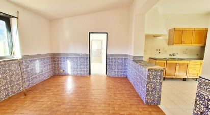 House T3 in Lamas e Cercal of 105 m²