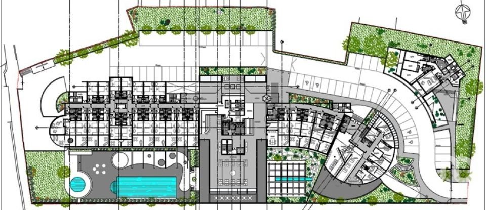 Terrain à São Brás de Alportel de 8 779 m²