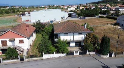 Casa / Villa T3 em São Martinho de Antas e Paradela de Guiães de 269 m²
